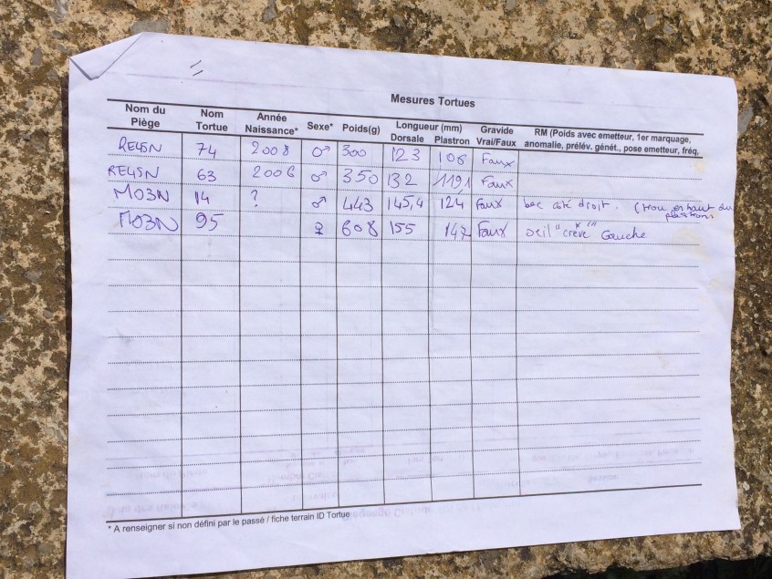 carnet du tour de terrain